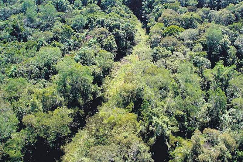 Câmara aprova urgência para criação de estrada no Parque Nacional do Iguaçu