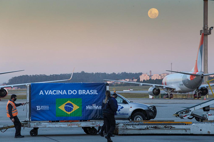 Chega ao Brasil avião com 6 mil litros de IFA para o Butantan
