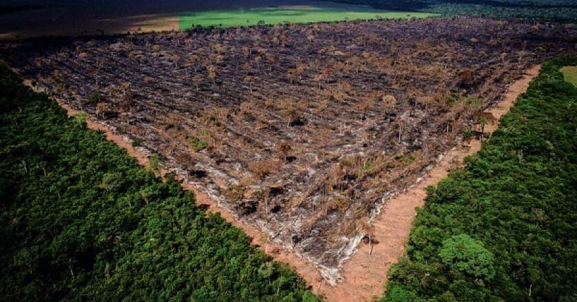 Desmatamento na Amazônia bate recorde pelo 4º mês seguido