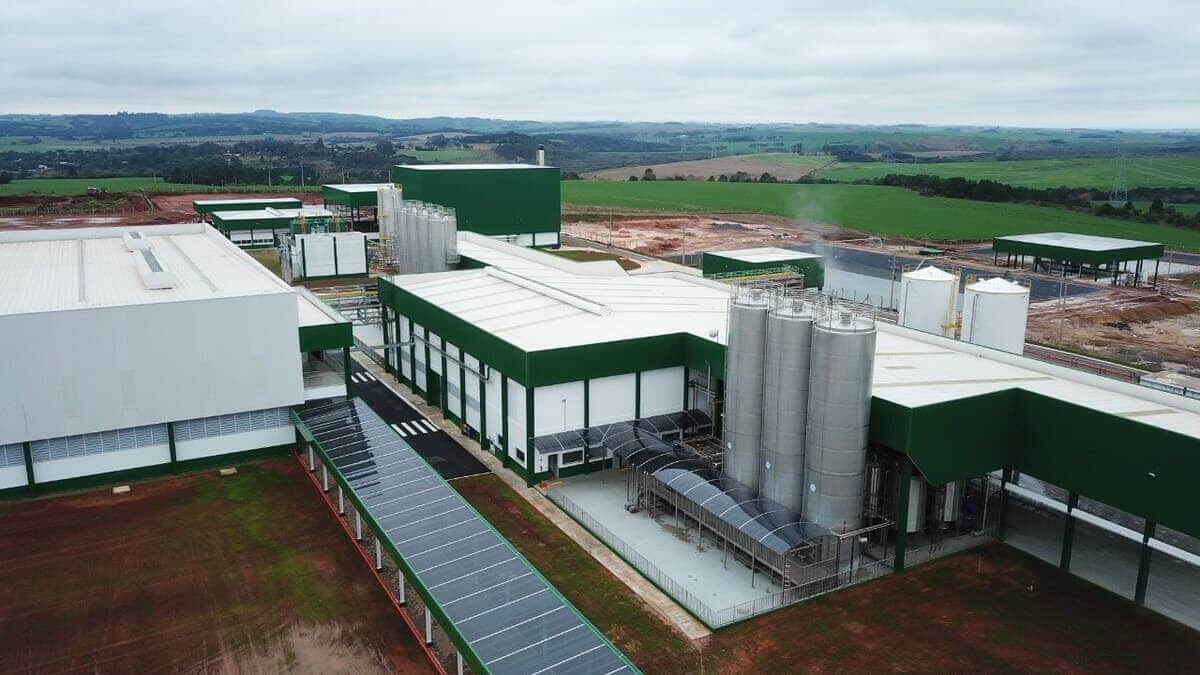 Primeira fábrica de empresa de laticínios no Paraná será inaugurada na quarta (7)