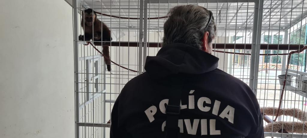 operação contra o tráfico de animais silvestres - Polícia Civil