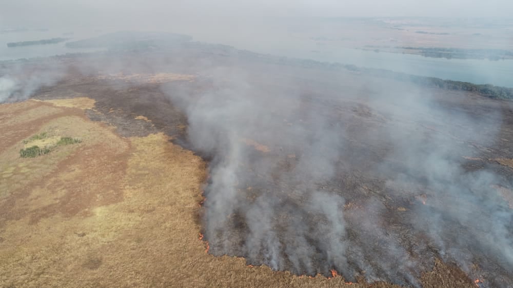 Incêndio atinge Parque Nacional de Ilha Grande, na divisa entre PR, MT e MS