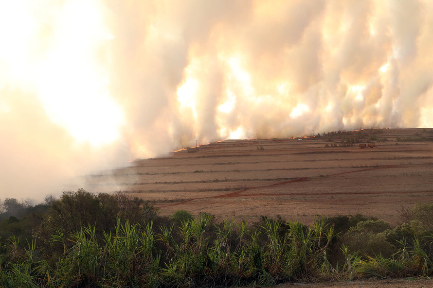 Incêndios florestais mais que dobram no Paraná em função da estiagem severa. Foto:Gilson Abreu/AEN