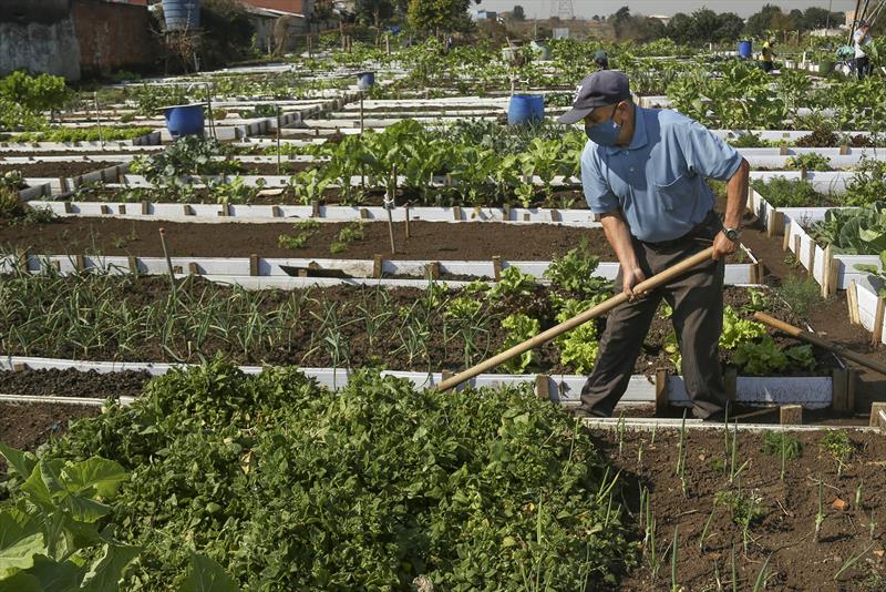 Prefeitura de Curitiba faz mutirão para atualizar cadastro de agricultores urbanos