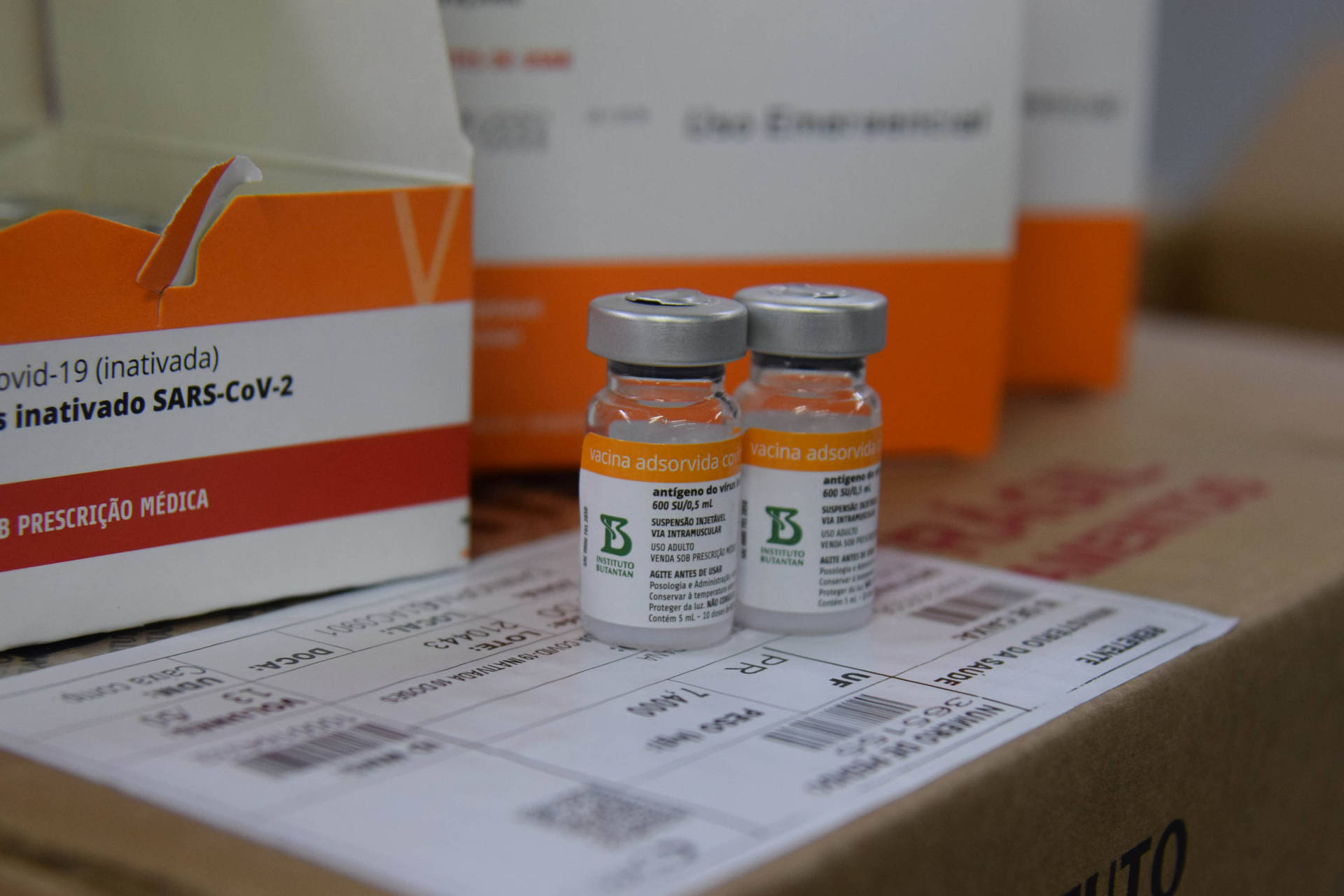 Paraná recebe mais 187,8 doses de vacina contra Covid-19 neste sábado (4)