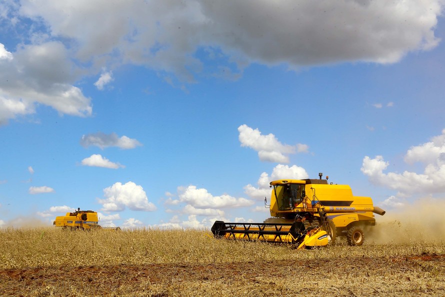 Paraná deve colher 25,5 milhões de toneladas de grãos na safra verão