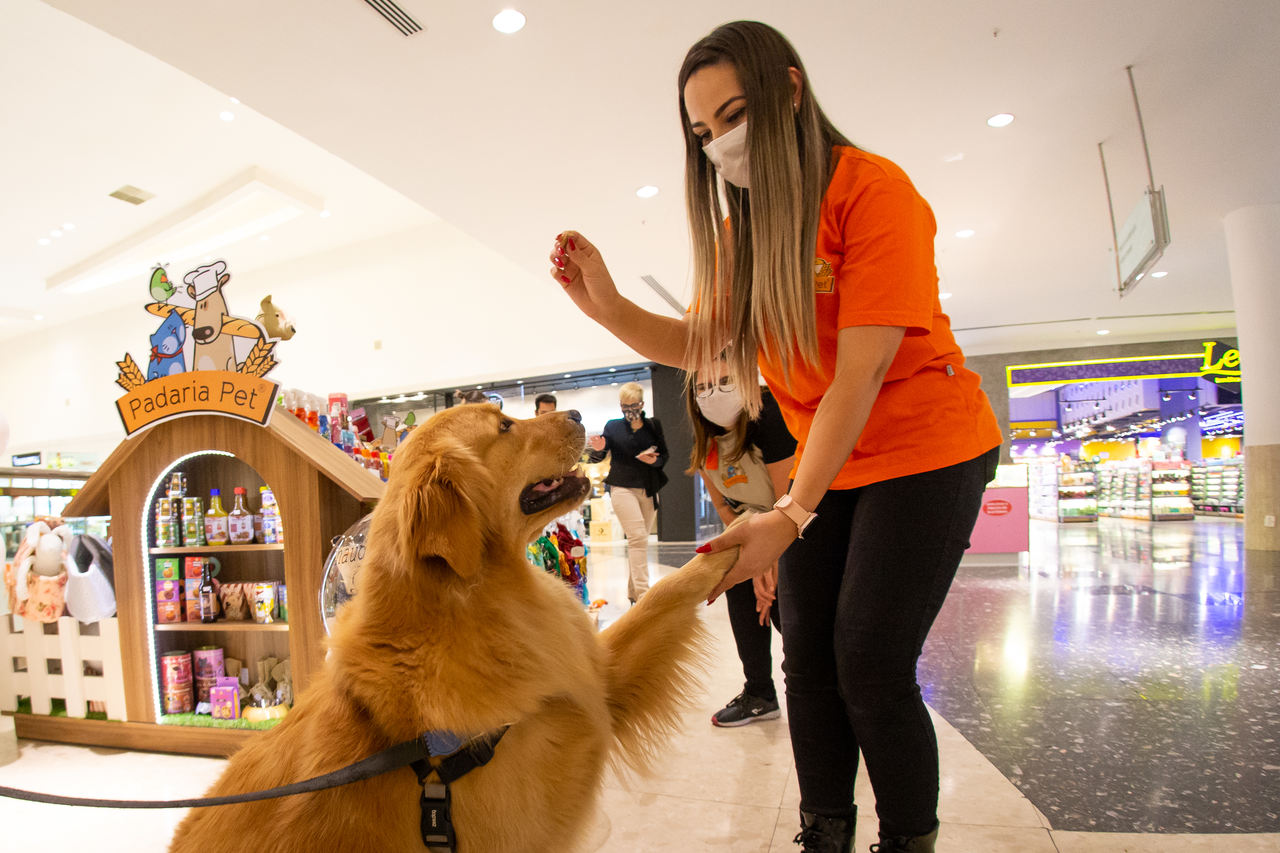 Empresa de produtos para pets abre primeira loja do Sul em Curitiba