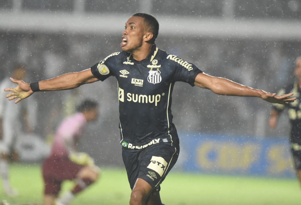 Santos Fluminense Brasileirão resultado ficha técnica