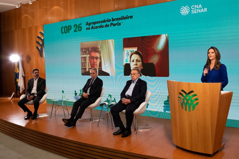 Agropecuária brasileira pode ajudar no combate ao aquecimento global, diz ministra