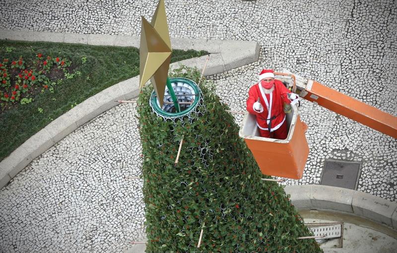 Curitiba ganha árvore de Natal viva no calçadão da Rua XV de Novembro