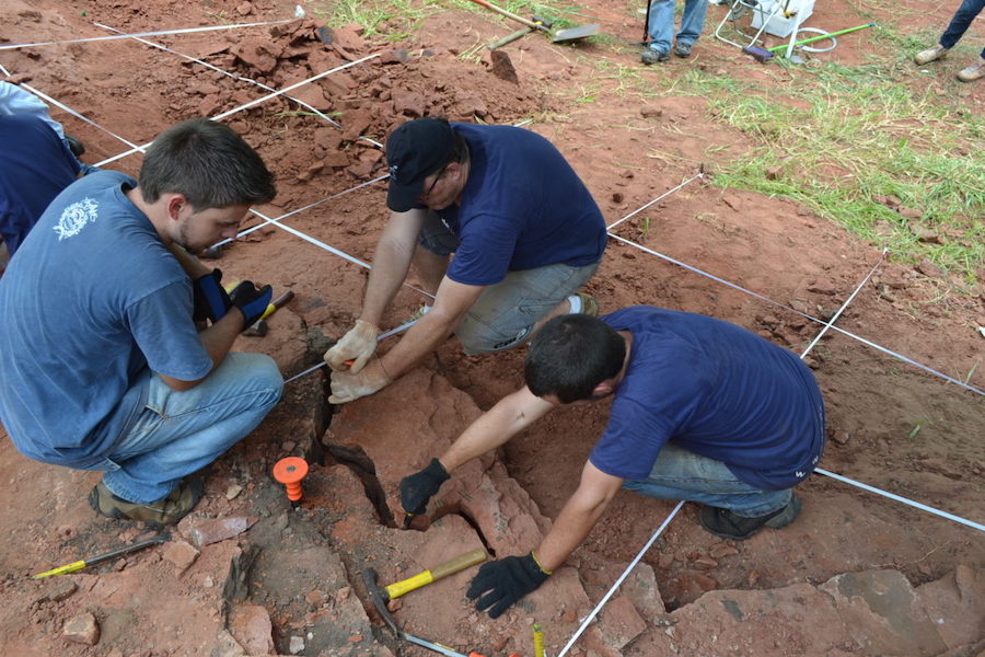 Descoberto no Paraná, novo dinossauro brasileiro surpreende cientistas