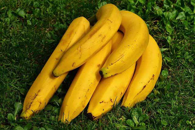 Banana prata: baixa demanda afeta preços pagos ao produtor