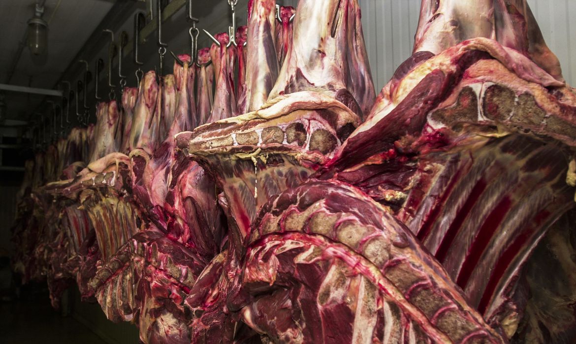 China aceitará carne bovina do Brasil certificada até 4 de setembro