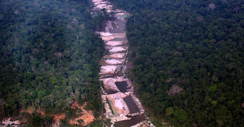 Com salto de 22%, desmatamento anual na Amazônia atinge patamar de 13.235 km2