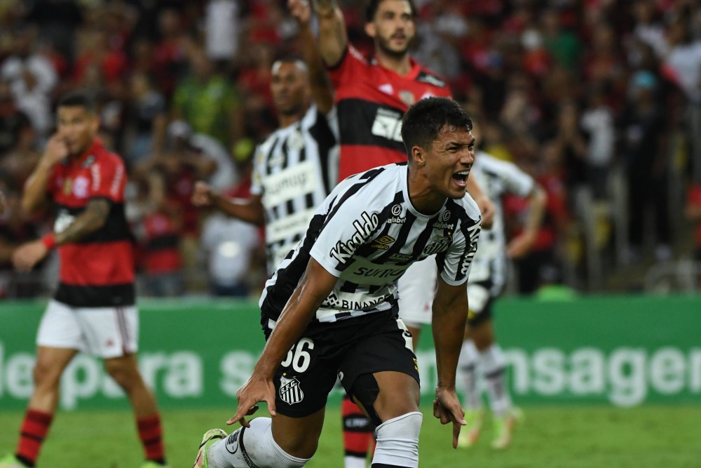 Santos vence Flamengo e segue vivo por vaga na Libertadores