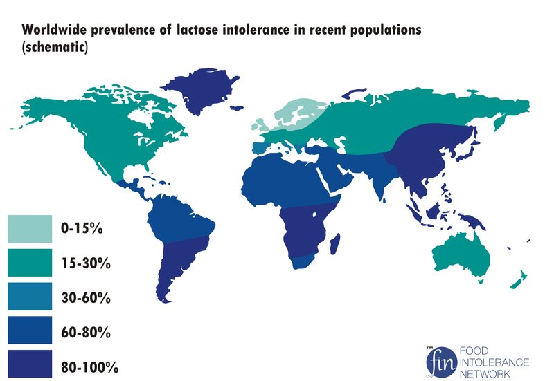 Intolerância à lactose é mais comum na América Latina, África e sul da Ásia. Food Intolerance Network