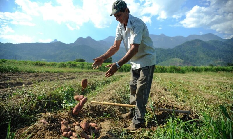 Agricultura sustentável: BID abre linha de crédito de US$ 1,2 bi