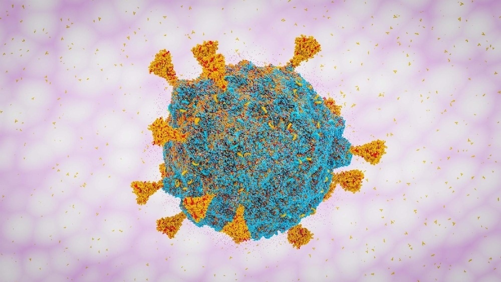 Sistema imunológico de vacinados e reinfectados resiste à Ômicron